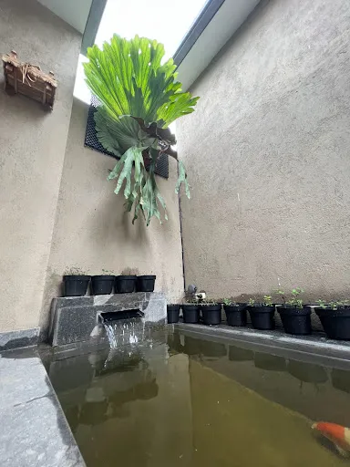 Penglipuran HomeStay 56 3