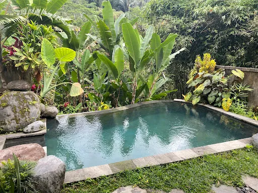 Bali Jungle Resort 2