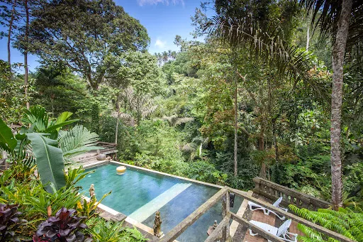 Bali Jungle Resort 3