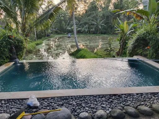 Bali Bamboo Jungle Huts and Hostel 2