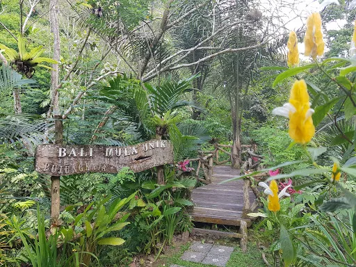 Bali Bamboo Jungle Huts and Hostel 3