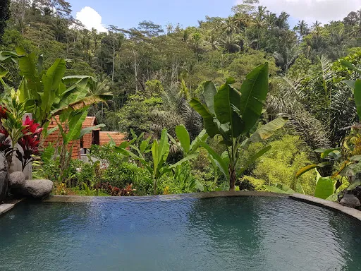 Bali Bamboo Jungle Huts and Hostel 4