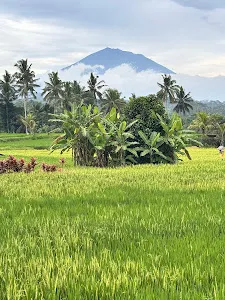 Beanary Coffee & Eatery 2