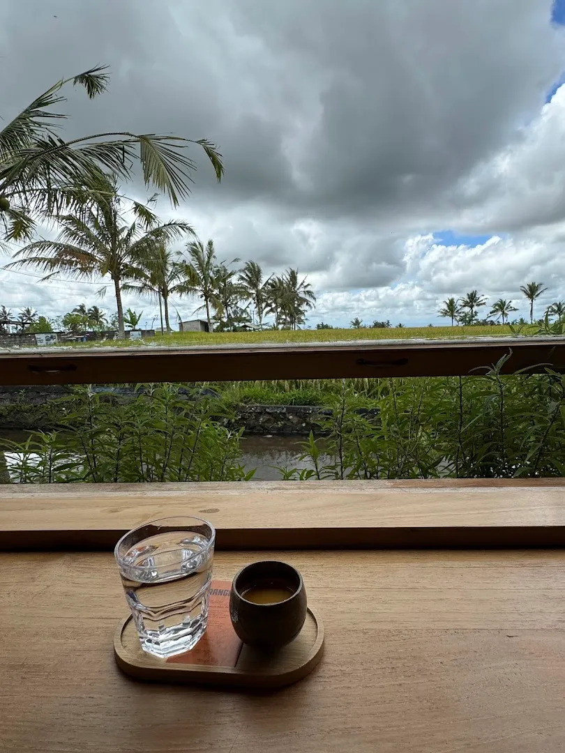 TREELØSOFI Specialty Coffee 4