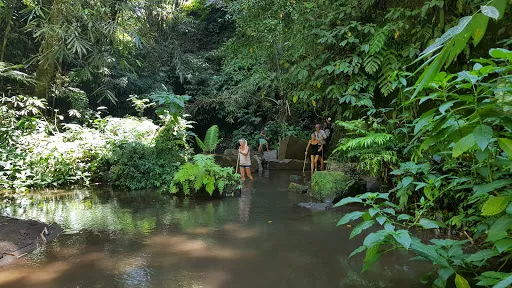 Tebing Hijau 2