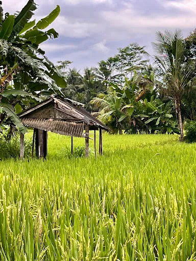 De Klumpu Bali Eco Tradi Stay 4