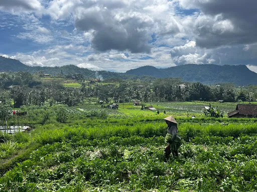 Sidemen Tour and Trekking 2