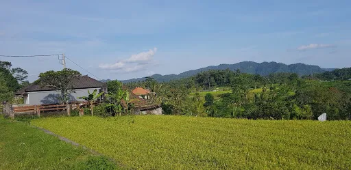 Muncan Traditional Market 3