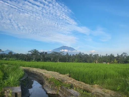 Goa Giri Campuhan Waterfall ( GGC Waterfall ) 3
