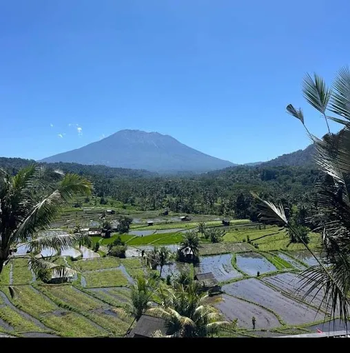 Khailash Warung And Homestay 2