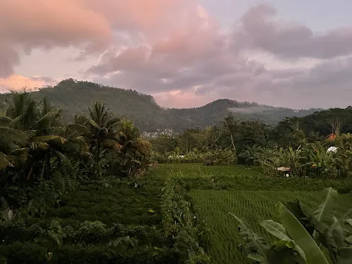 Mantra Guesthouse 4