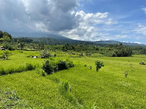 Telabah Lantang Desa Muncan 2