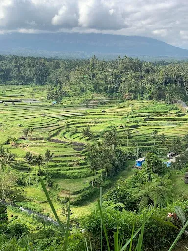 BALI21TRANSPORT & TRAVEL SIDEMEN 3