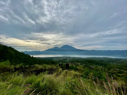 Taxi driver local sidemen * 1