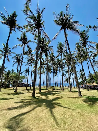 Taxi driver local sidemen * 3