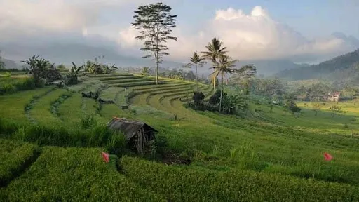 Sidemen Trekking