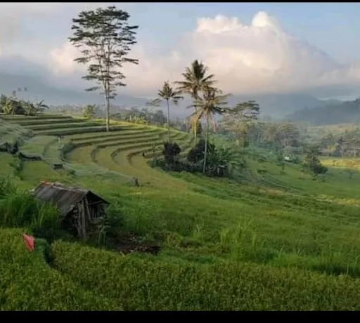 Sidemen Trekking 2