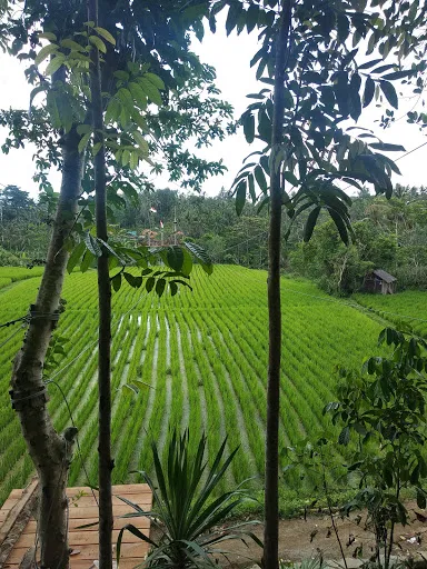 De Brokong Bali Adventure 3