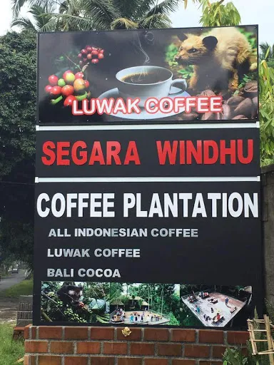 Segara Windhu Coffee Plantation 1