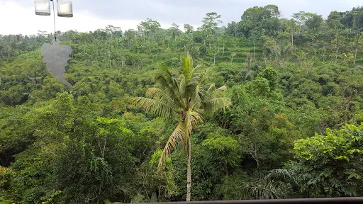 Bambu Lestari 3