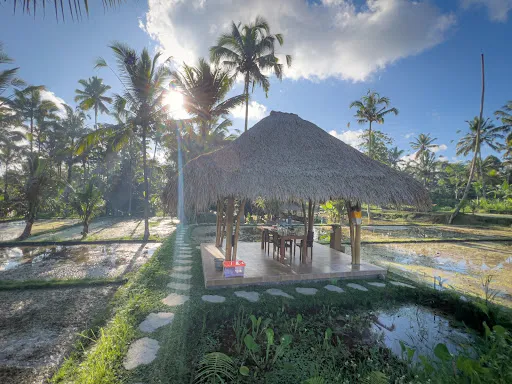 Pemulan Bali Experience 3