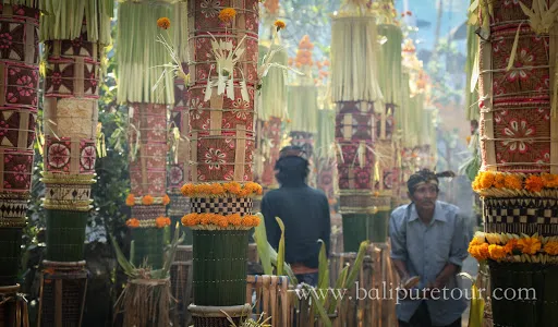 Bali Pure Tour 1