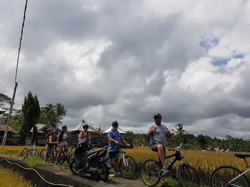 Bali Pure Tour 3