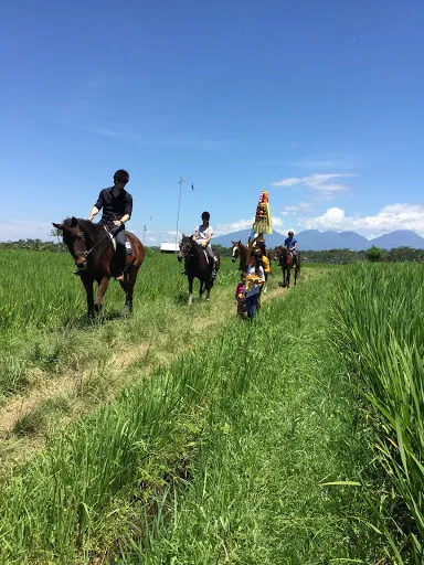 Ubud Horse Stables 2