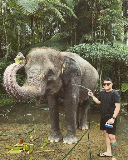 Парк Слонов 2