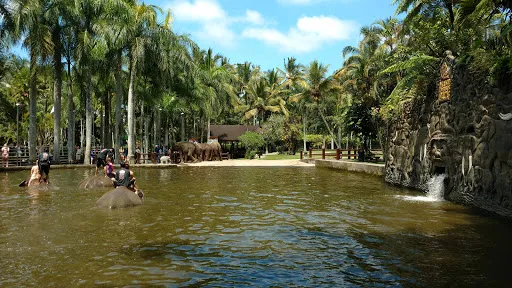 Парк Слонов 3