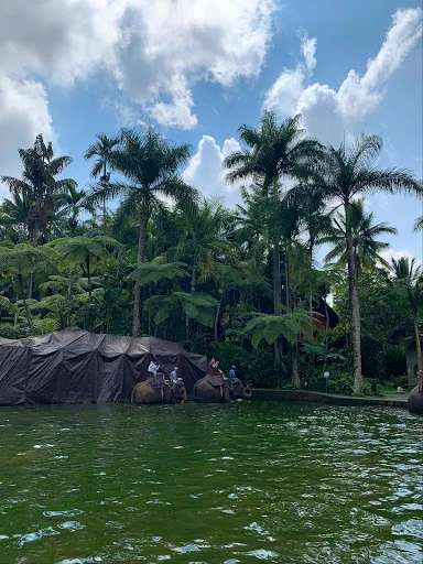 Парк Слонов 4