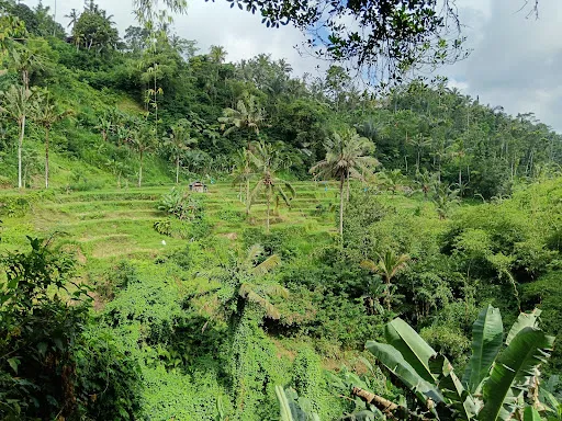Parking point Jasan waterfall 3