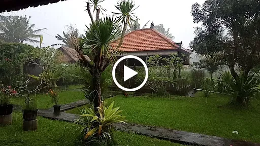 Dhamma Geha Vipassana 4