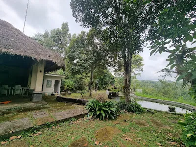 Puri Sebatu Resort 2