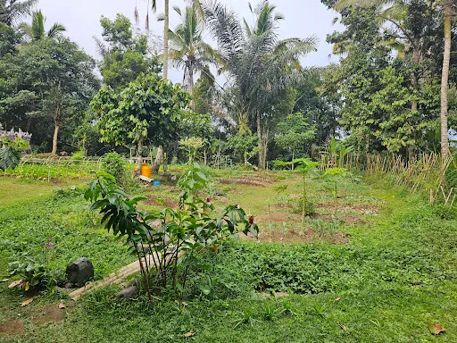 Taman Dukuh Agroforestry 2