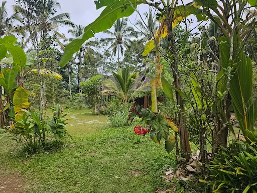 Taman Dukuh Agroforestry 3