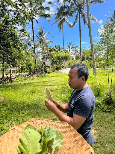 Taman Dukuh Agroforestry 4