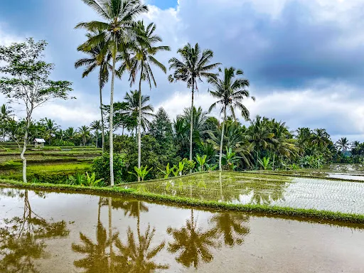 Bali Great Bike Tours 1