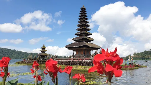 Wi Bali Tour Service 2