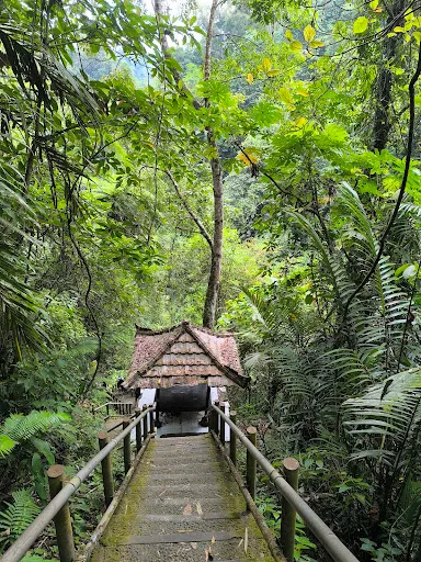 Nungnung Waterfall Carpark 1