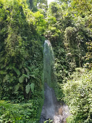 Nungnung Waterfall Carpark 2