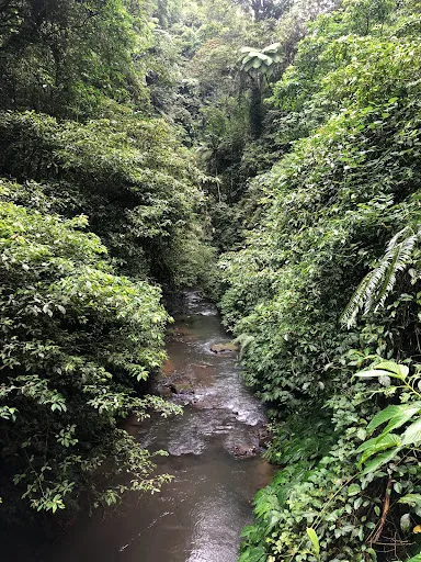 Nungnung Waterfall Carpark 3
