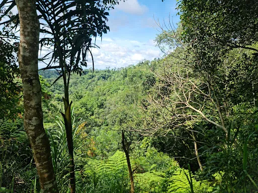 Nungnung Waterfall Carpark 4