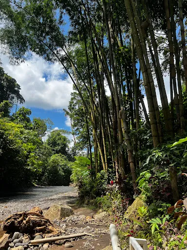 Batulantang Waterfall 3