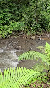 Goa Gong Waterfall 2