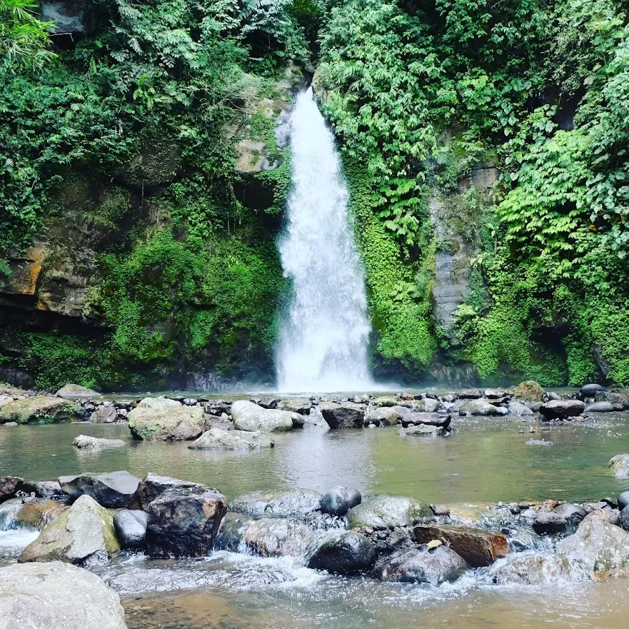 Goa Gong Waterfall 3
