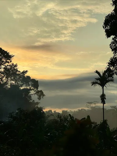 The Yogis Garden Bali 1