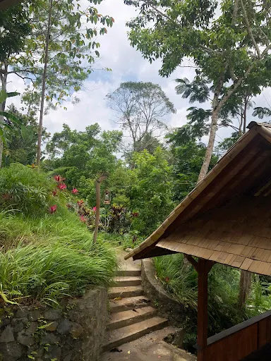 The Yogis Garden Bali 4