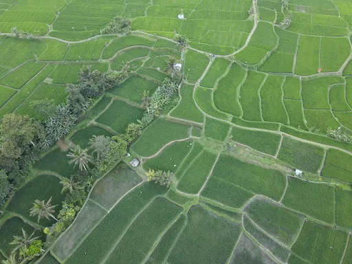 Beji Retreat View 1
