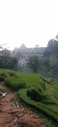 Beji Retreat View 3